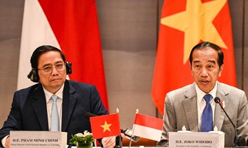 Tổng thống Joko Widodo muốn FPT đầu tư mạnh hơn vào Indonesia