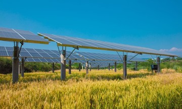 FPT Digital bật mí cách chuyển đổi năng lượng xanh cho các ngành công nghiệp