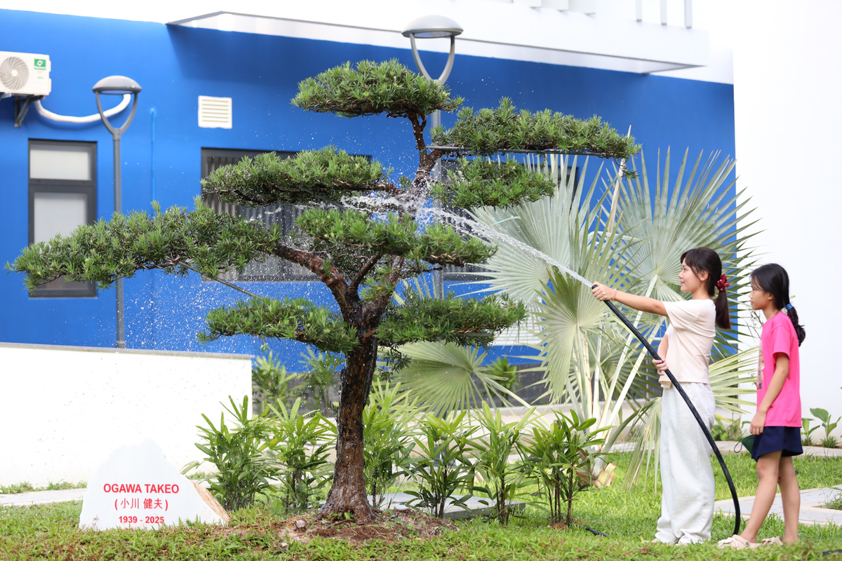 <p style="text-align:justify;"> Trong khu vườn ấy, đặc biệt có cây tùng, là món quà tri ân những yêu thương mà bác Ogawa Takeo đã dành cho Trường Hy vọng.</p>