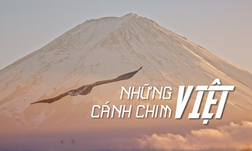 VTV phát sóng phóng sự đặc biệt về 20 năm FPT tại Nhật Bản đúng sinh nhật thứ 37 của Tập đoàn