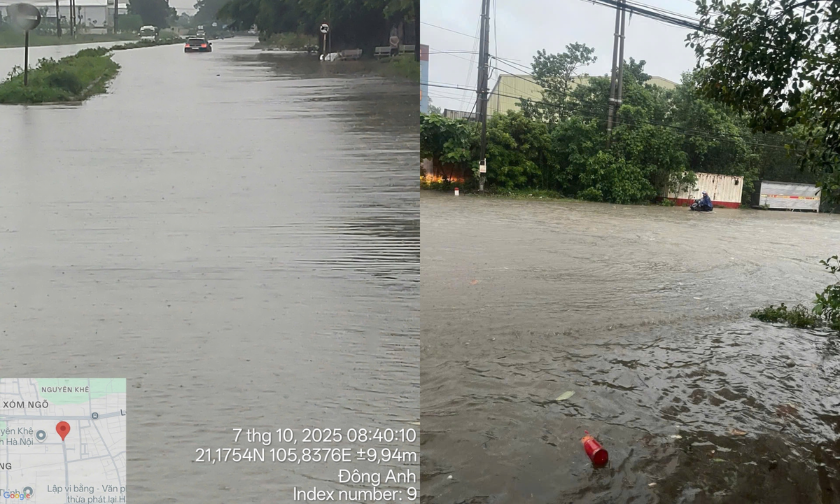 <p> <span>Còn các kho hàng của Sendo tại Hà Nội, bão lụt gây nhiều khó khăn trong việc và vận hành hàng hoá. Nhiều điểm nhận hàng bị ngập sâu như: An Khánh, Triều Khúc… Đường di chuyển đến kho/hub ngập cao nhưng đội ngũ “dầm mình” lội nước, túc trực tại kho để kiểm tra và vận hành hàng hóa đầu vào, đảm bảo mưa bão nhưng hàng hóa vẫn phải đạt tiêu chuẩn.<br /> <br /> Ảnh: Kho tổng của Sendo ở Đông Anh - Hà Nội ngập sâu sáng nay &lpar;ngày 7/10&rpar;.</span></p>