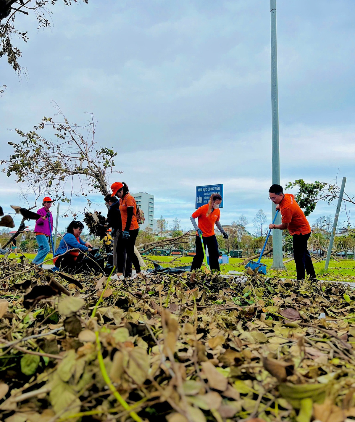 <p class="Normal"> Sau 1 ngày lao động liên tục, các tuyến đường phần nào đã thông thoáng trở lại. Những bao rác được chuyển lên xe, cây gãy được thu gom, mặt đường sạch sẽ. "Chính chúng tôi cũng thấy ấm lòng, với thầy và trò FPT Polytechnic, niềm vui lớn nhất chính là thấy thành phố mình yêu trở lại nhịp sống bình yên", anh Nguyễn Quốc Trung - Giám đốc FPT Polytechnic cơ sở Quy Nhơn, cho hay.</p>
