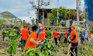 Thầy trò nhà FPT chung tay làm sạch đường phố sau bão số 13