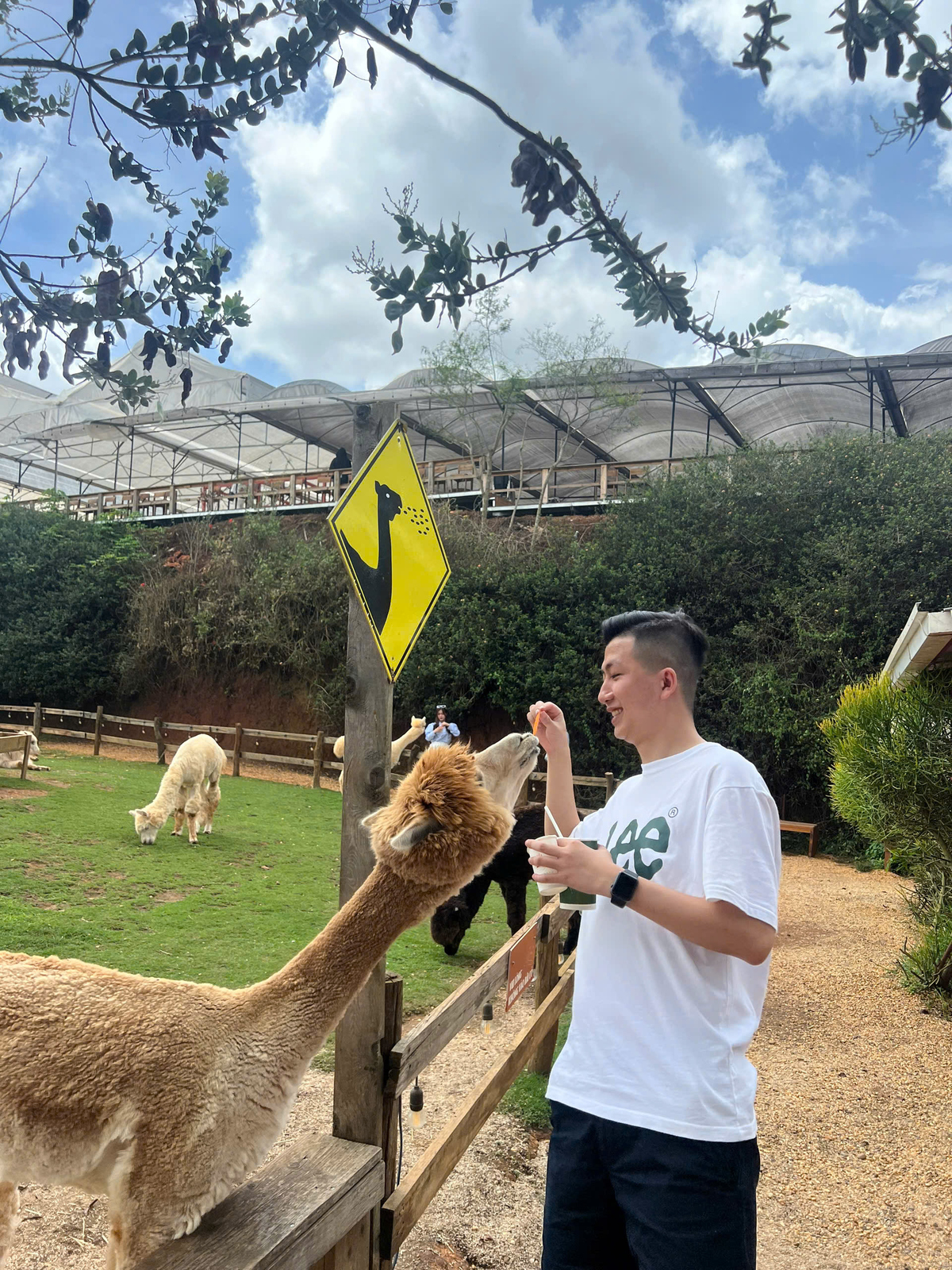 <p class="Normal" style="text-align:justify;"> Anh Nam chiêm nghiệm rằng việc tạm lùi lại một bước khỏi guồng quay hối hả không phải là dừng lại, mà là cách chuẩn bị để có thể tiến xa và nhanh hơn trong sự nghiệp.</p>