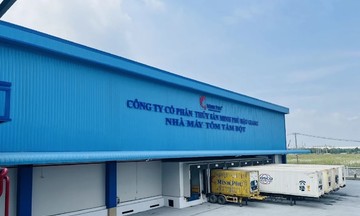 FPT đồng hành Minh Phú Hậu Giang golive hệ thống FPT.eApprove