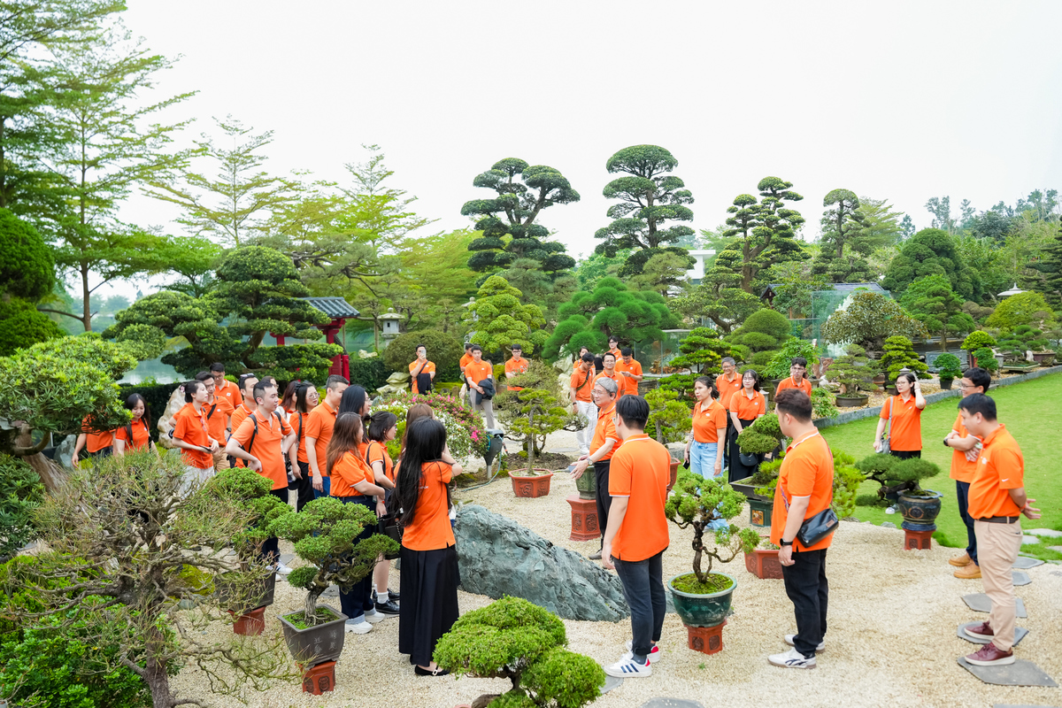 <p class="Normal" style="text-align:justify;"> Rời nhà thờ tổ, đoàn tiếp tục di chuyển đến điểm dừng chân thứ hai: biệt thự Sen. Đây là nơi nghỉ ngơi cuối tuần của gia đình và cũng là không gian lưu giữ niềm đam mê riêng của anh Ngọc, đó là điêu khắc và sưu tầm các loài cây quý.</p> <p class="Normal" style="text-align:justify;"> Bộ sưu tập cây quý được anh Ngọc dày công sưu tầm từ nhiều nơi trên thế giới. Mỗi gốc cây lại được anh đặt cho những cái tên giàu tính biểu tượng: Vua, Tể tướng, Thái tử, Hoàng hậu... tạo nên không gian thư thái, nghệ thuật và mang đậm dấu ấn cá nhân.</p>