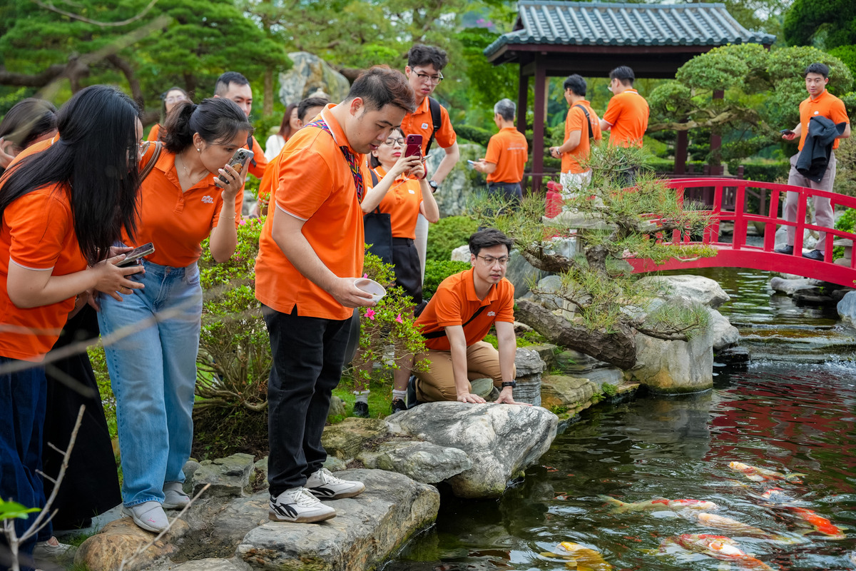 <p style="text-align:justify;"> Trải nghiệm cho cá ăn cũng là hoạt động được yêu thích. Cá koi vốn là biểu trưng cho sự thịnh vượng và ý chí bền bỉ. PCT HĐQT FPT bật mí, đàn cá này đã được anh nuôi trong nhiều năm và có kích thước, màu sắc rất ấn tượng.</p>