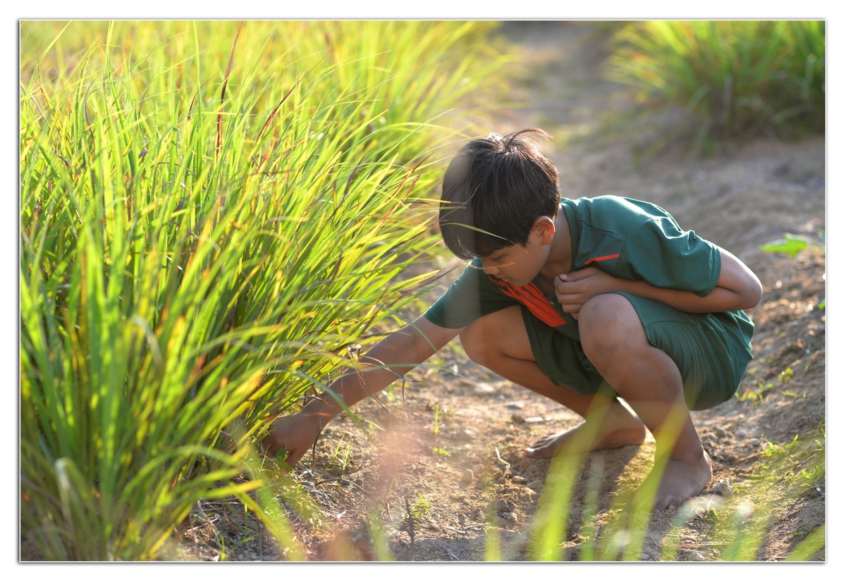 <p> Nhiều cô chú nhà FPT đặt hàng rau sạch ở vườn Hy vọng, các em thu hoạch tặng cô chú, hoặc sẽ mua ủng hộ để các bạn nhỏ mua thêm hạt giống, mua phân bón chăm sóc cho vườn rau của mình.</p>