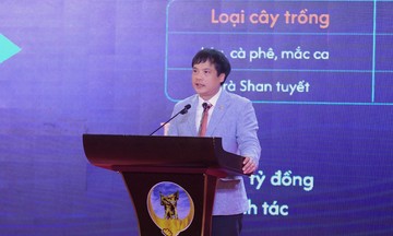 FPT thử nghiệm UAV tại Điện Biên: Giảm 15-20% chi phí canh tác, dự kiến tăng thu nhập nông dân 9-18 triệu đồng/ha/năm